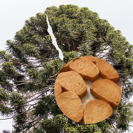 Bunya Nut Short Bread Cookie Mix