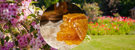 Local Junee Raw Honeycomb 150g