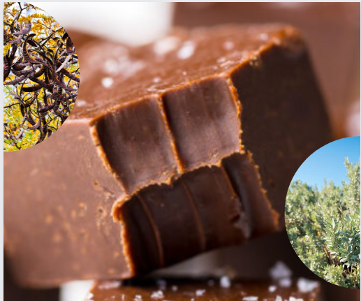 Chocolate Wattleseed and Saltbush Fudge 150g